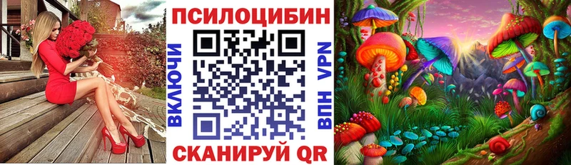 Галлюциногенные грибы GOLDEN TEACHER  Октябрьск 